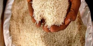 Kala Namak Rice
