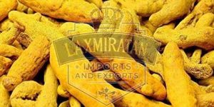 A Grade Turmeric Finger