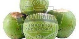 B Grade Fresh Tender Coconut