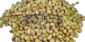 Green Coriander Seeds