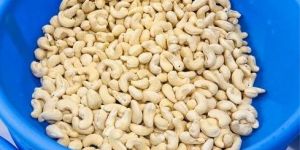 W320 Whole Cashew Nuts