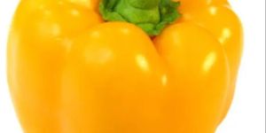 A Grade Yellow Bell Pepper