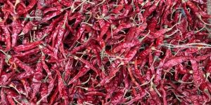 Armoor Dried Red Chilly