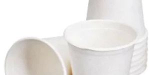 Bagasse Cups