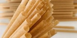 Bagasse Straws