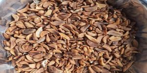 Dehydrated Garlic Flakes