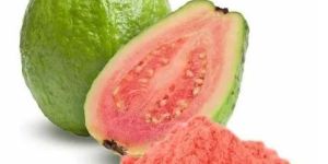 Dehydrated Guava Powder