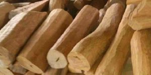 White Sandalwood Logs
