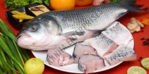 Fresh Curry Cut Catla Fish