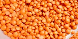 Red Masoor Dal