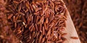 Red Rice