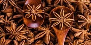 Star Anise Seeds