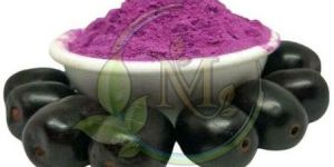 Dehydrated Jamun Powder