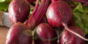 Fresh Beetroot
