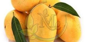 Fresh Mango