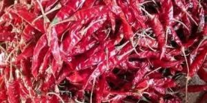Dry Red Chilli