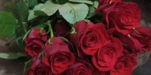 Fresh Flowers