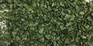 Dry Moringa Leaves
