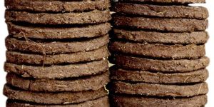 Cow Dung Cake