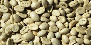 Green Coffee Beans, Grade: A, AA, Aaa