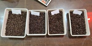 Roasted Coffee Beans , Grade: A, AA, Aaa