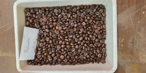 Robusta Coffee Beans, Grade: A, AA, Aaa