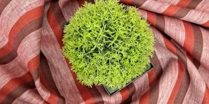 Lea 100 Pure Linen Fabric