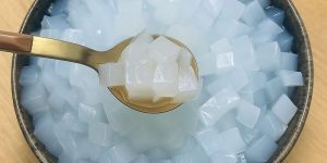 Nata De Coco