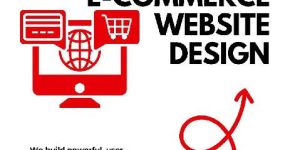 Website Design Service in Delhi
