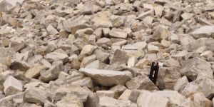 Brown Dolomite Grits