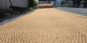 Coir Geotextile