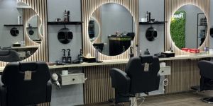 Beauty Salon Chair