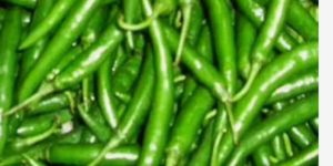 Green Chillies