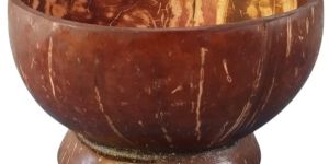 Coconut Shell Bowl