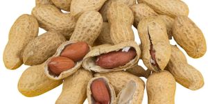 Indian Shelled Groundnuts