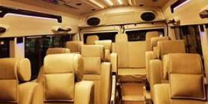 Madurai to Ooty and Masinagudi Grand Luxury Tour