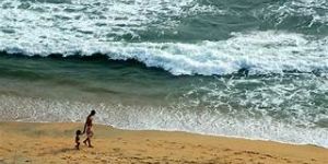 Madurai to Varkala to Madurai 53 Seater Coach Tour