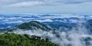 Madurai to Wayanad 2 Nights and 3 Days 40-Seater AC Bus tour