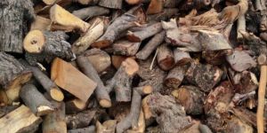 Panch Mal Timber Wood