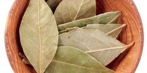 Dried Bay Leaves