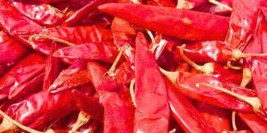 Dry Red Chilli