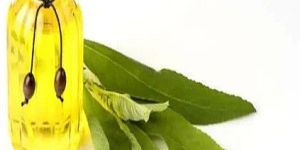 Incense Sticks Camphor Fragrance Oil