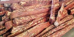 Natural Red Sandalwood Logs