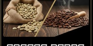 Roasted Coffee Beans