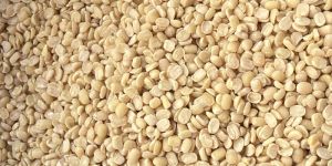 Skinless Urad Dal