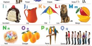 KIDS EDUCATIONAL CHARTS