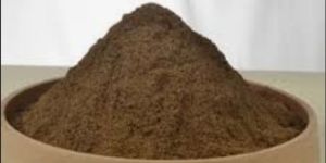 Cow Dung Powder