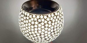 Electric Kapoor Dani