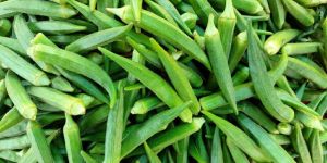 Fresh Green Lady Finger