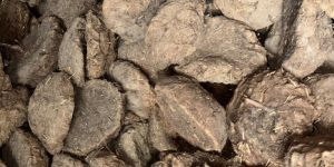 Cow Dung Cake